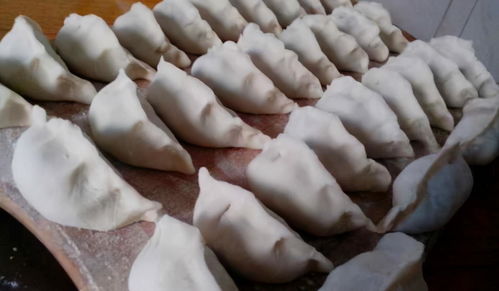 冰箱存餃有妙招，簡(jiǎn)單一步保鮮月余